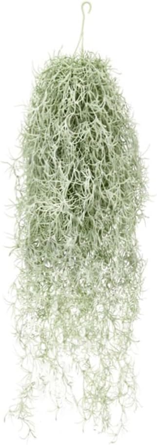 Air Plant Tillandsia - Plantes à Air artificielles flocées Tillandsia