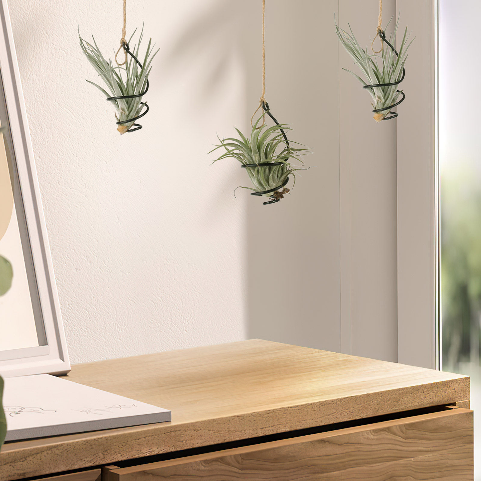 Air Plant Tillandsia - 12 supports suspendus pour plantes aériennes,
