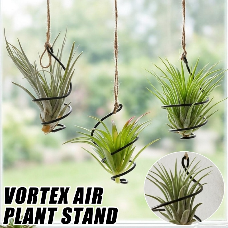 Air Plant Tillandsia - Supports suspendus pour plantes aériennes –