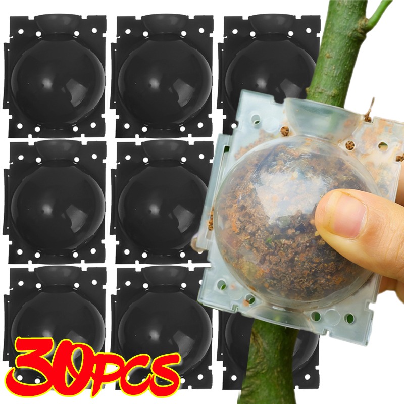 Boule de bouturage réutilisabl - Plant Parents avis et prix