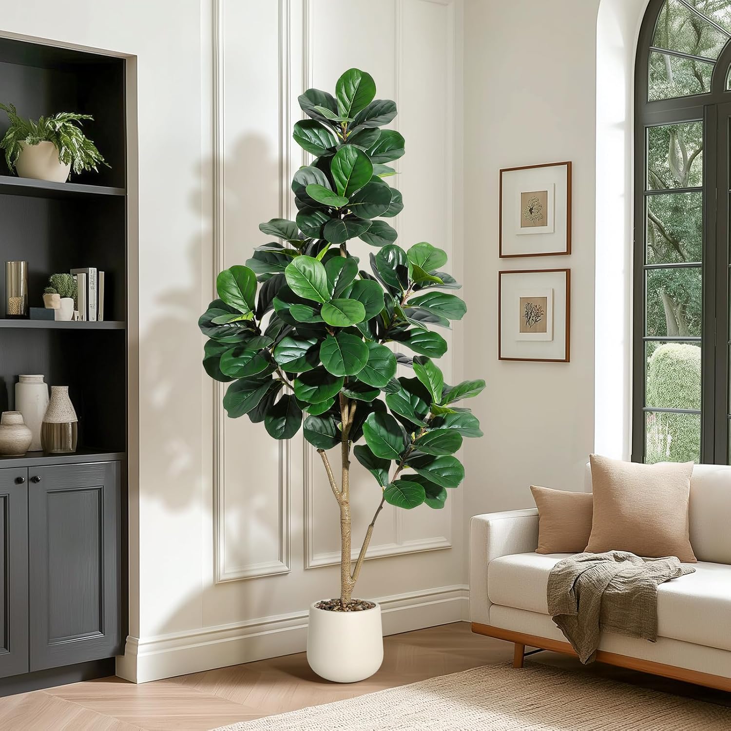 Arbre de figue en feuille de v - Plant Parents avis et prix