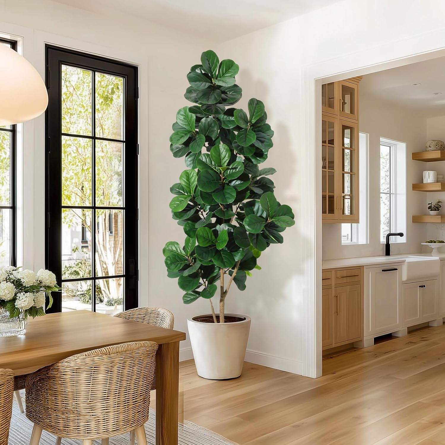 Arbre de figue en feuille de v - Plant Parents avis et prix