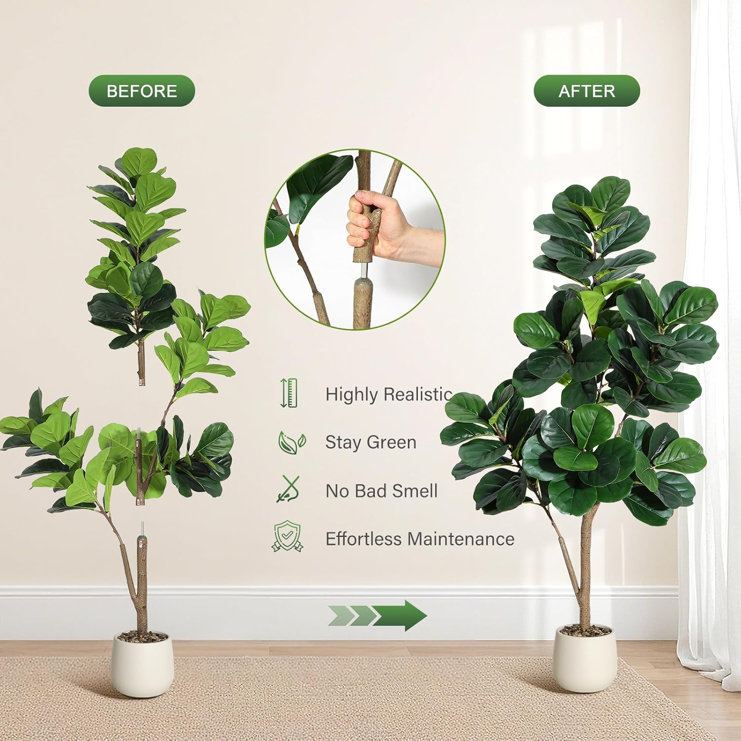 Arbre de figue en feuille de v - Plant Parents avis et prix
