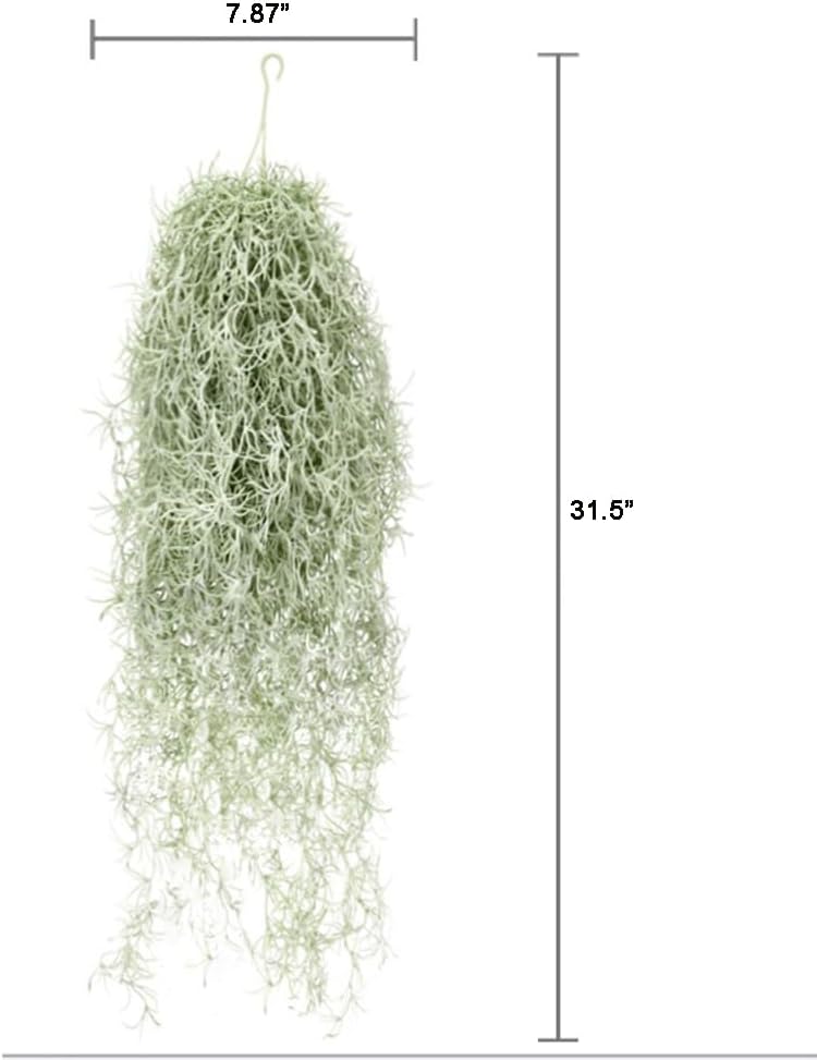 Plantes à Air artificielles fl - Air Plant Tillandsia avis et prix