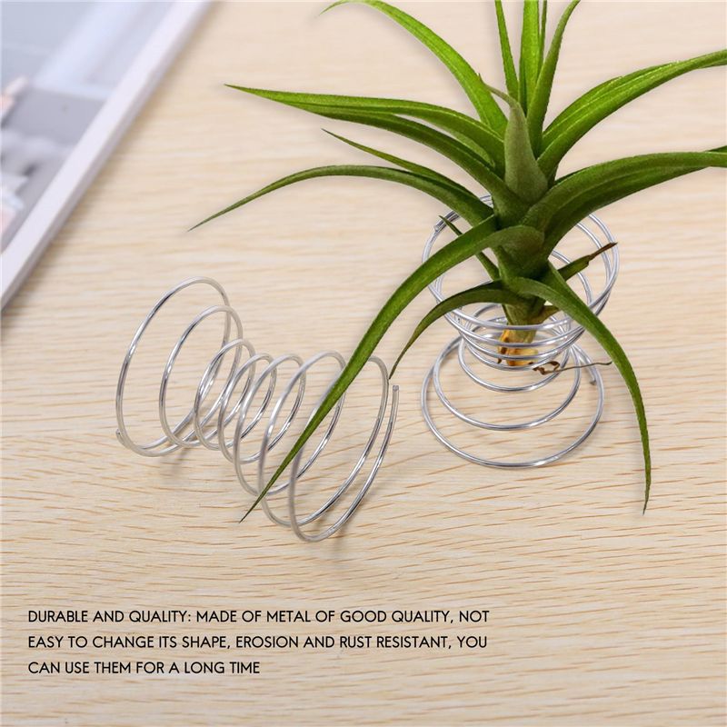 Meilleures ventes - Lot de 6 s - Air Plant Tillandsia avis et prix