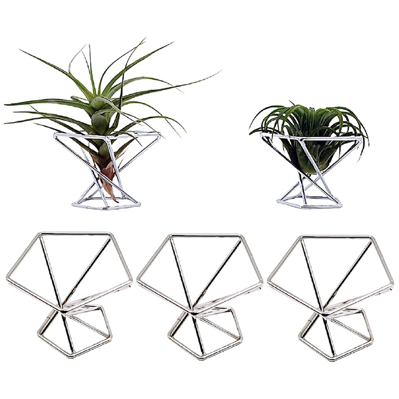 Lot de 5 supports pour plantes - Air Plant Tillandsia avis et prix