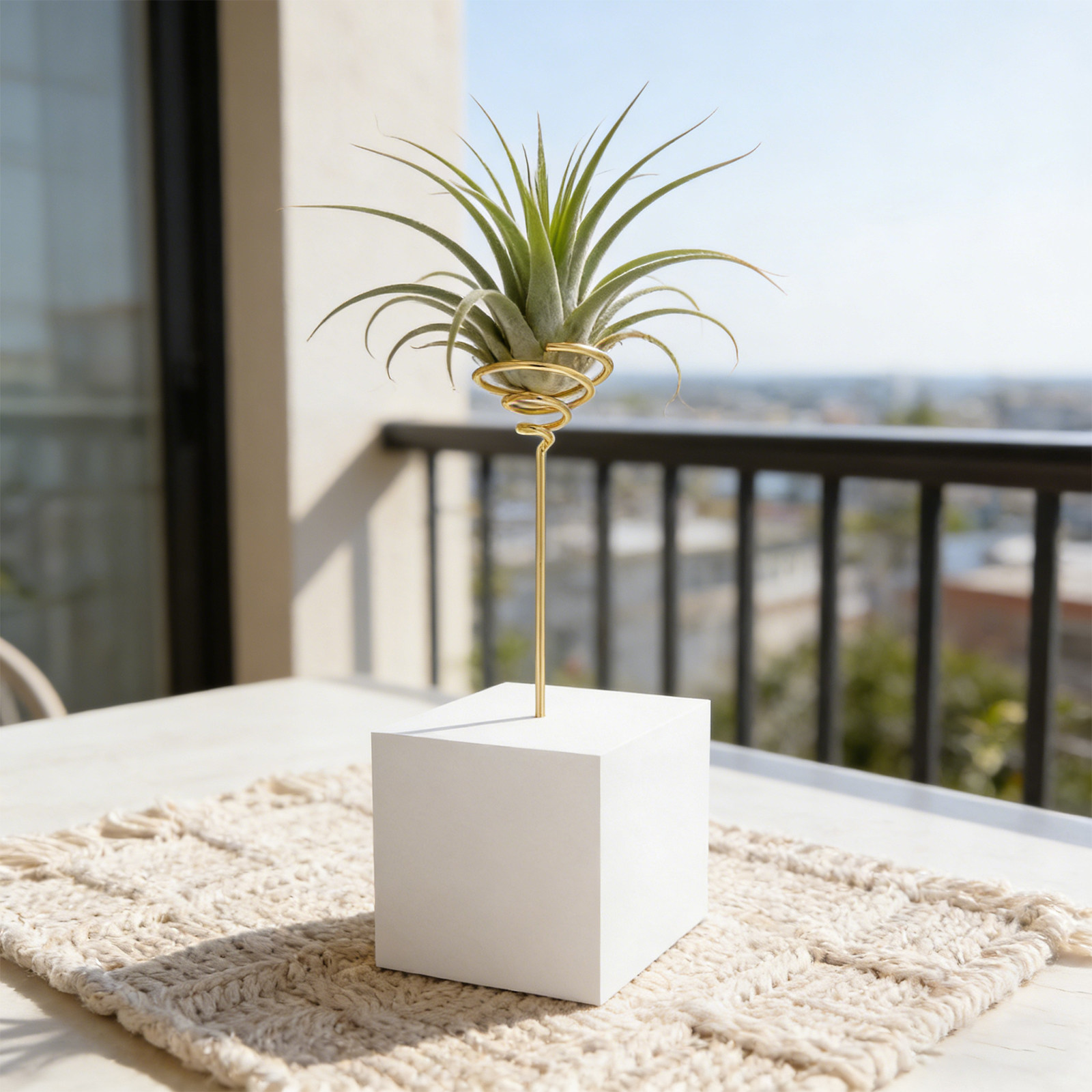 6 pièces de supports pour plan - Air Plant Tillandsia avis et prix