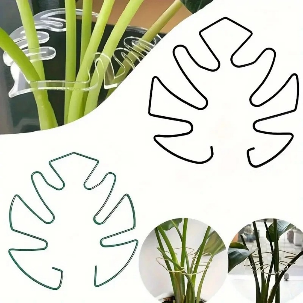Support de plantes d'intérieur - Variegated Monstera Node avis et prix