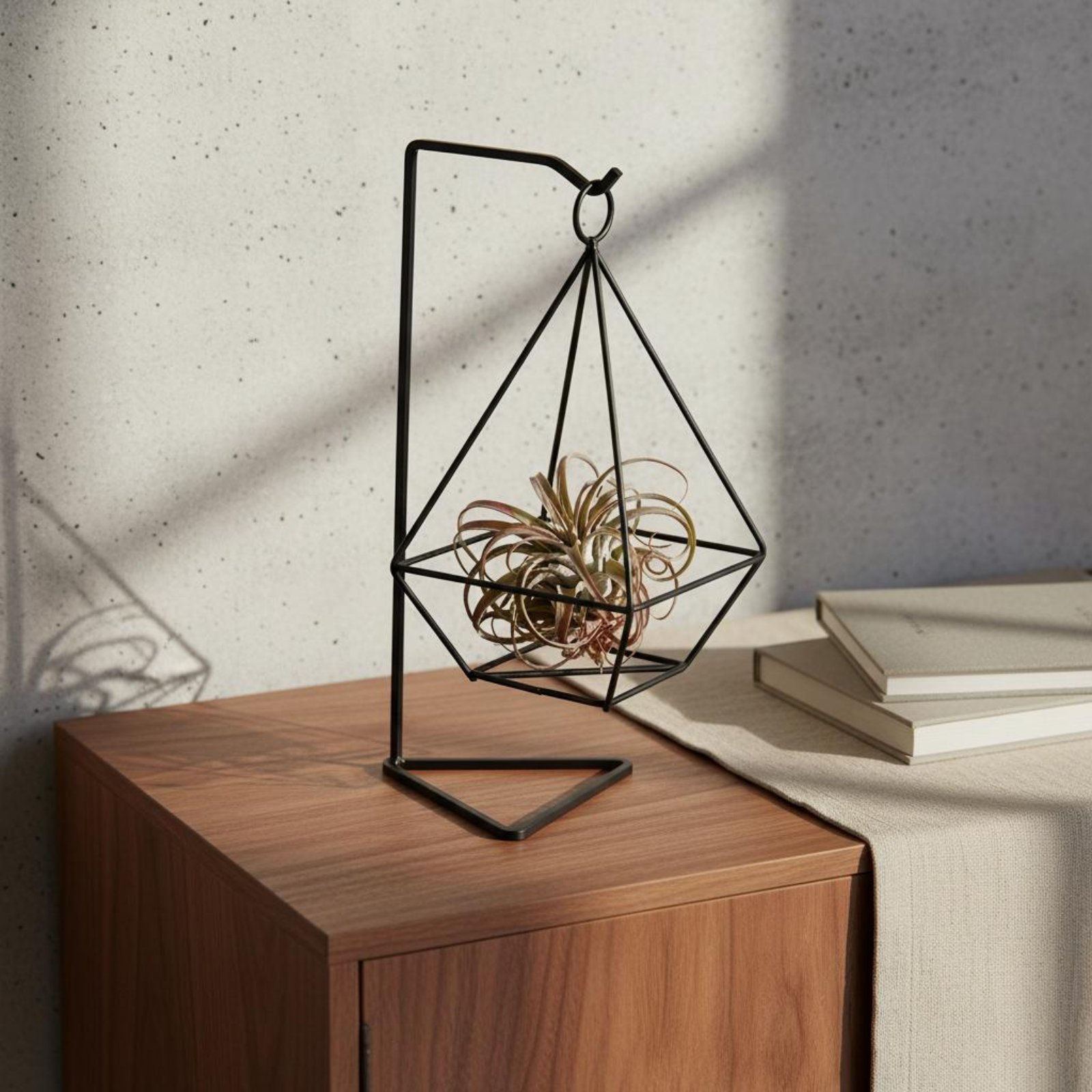Support géométrique pour plant - Air Plant Tillandsia avis et prix