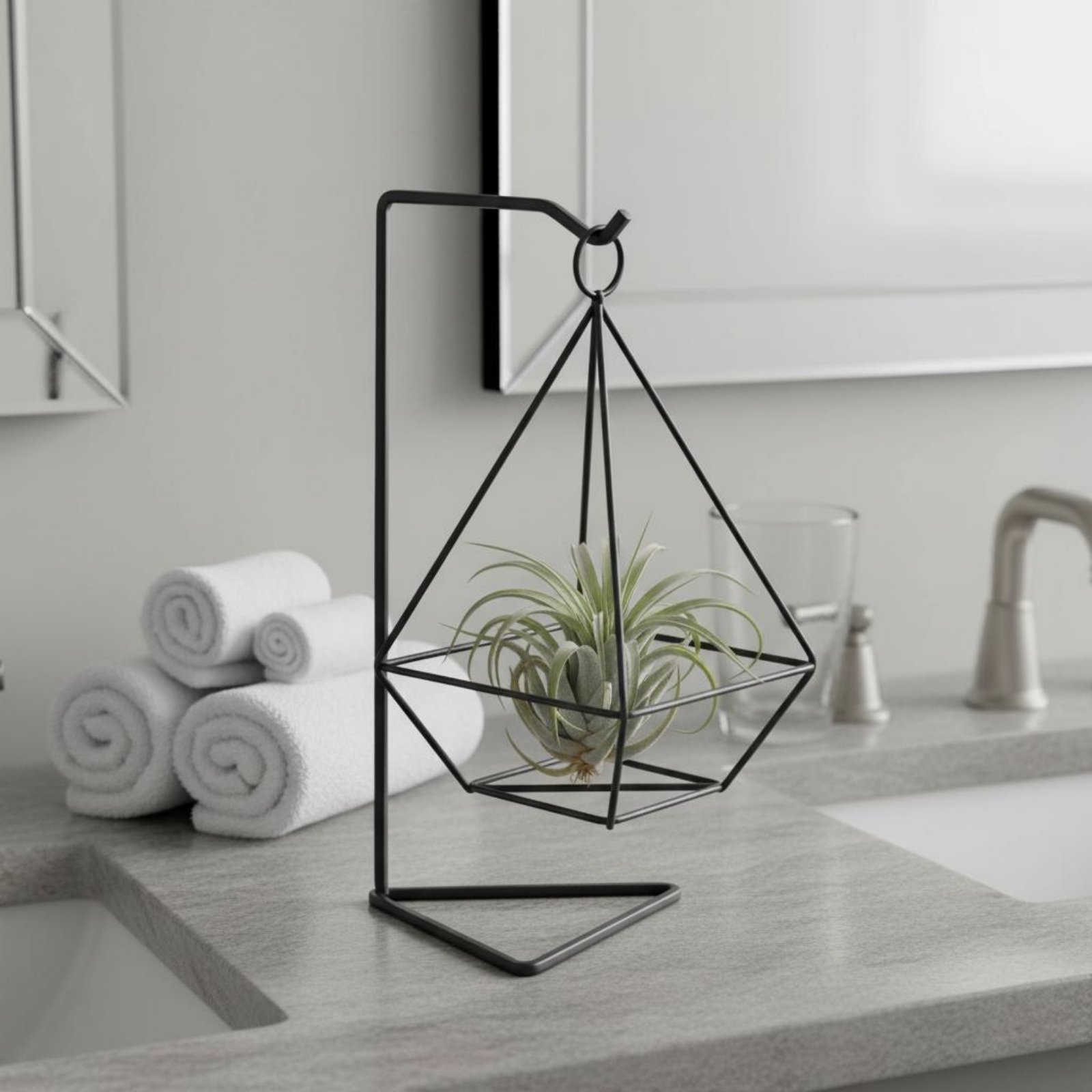 Support géométrique pour plant - Air Plant Tillandsia avis et prix