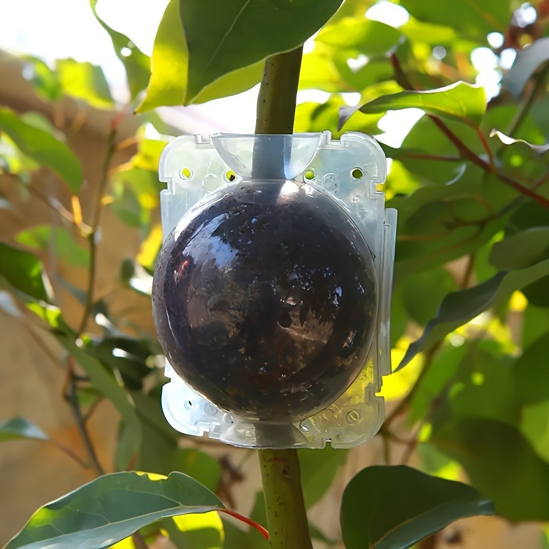 Kit de propagation de plantes  - Plant Parents avis et prix