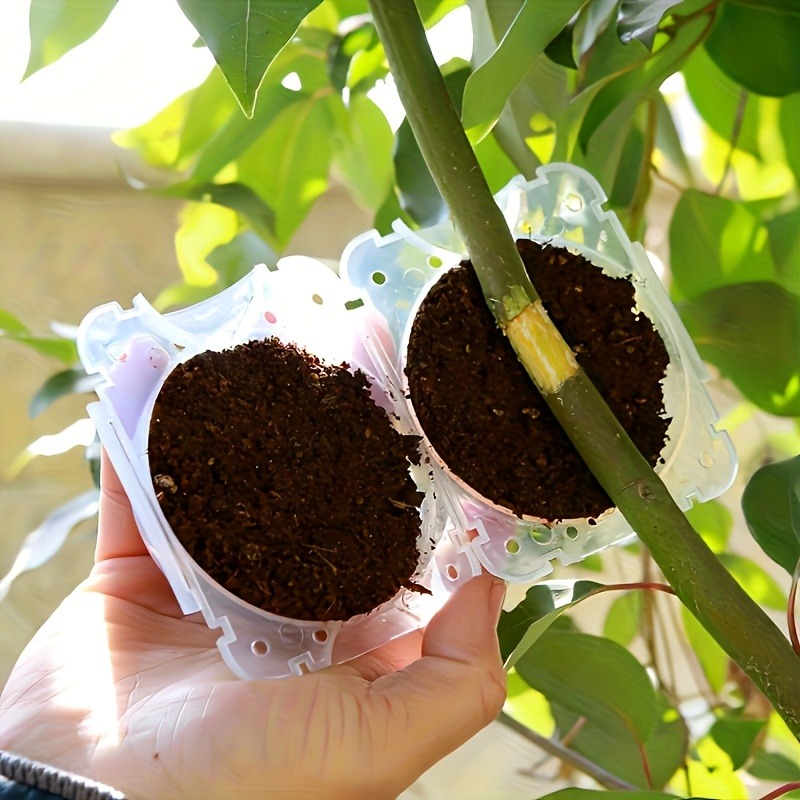 Kit de propagation de plantes  - Plant Parents avis et prix
