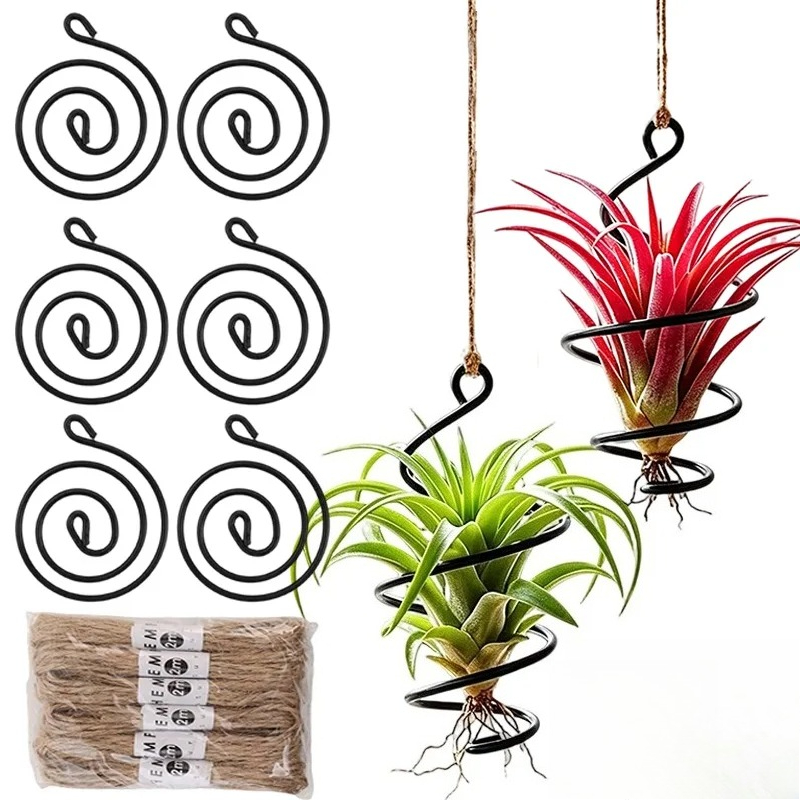 Supports suspendus pour plante - Air Plant Tillandsia avis et prix