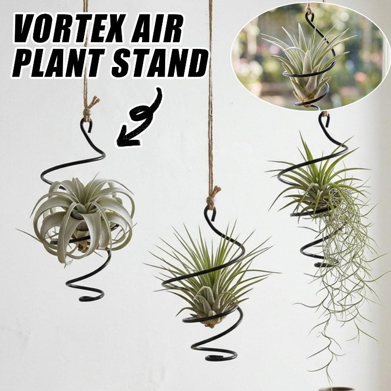 Supports suspendus pour plante - Air Plant Tillandsia avis et prix