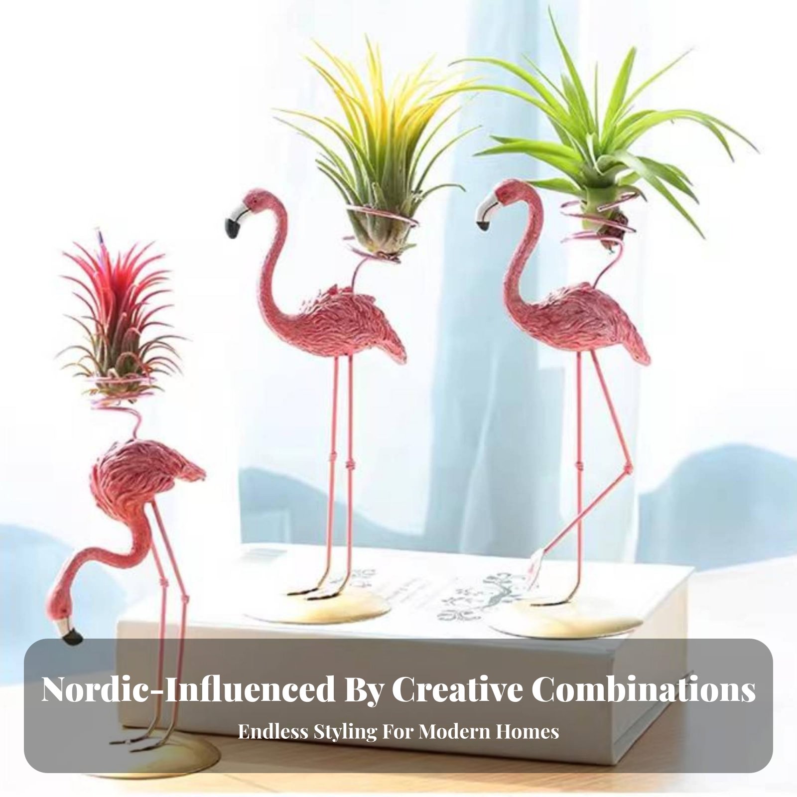 Support géométrique pour Tilla - Air Plant Tillandsia avis et prix
