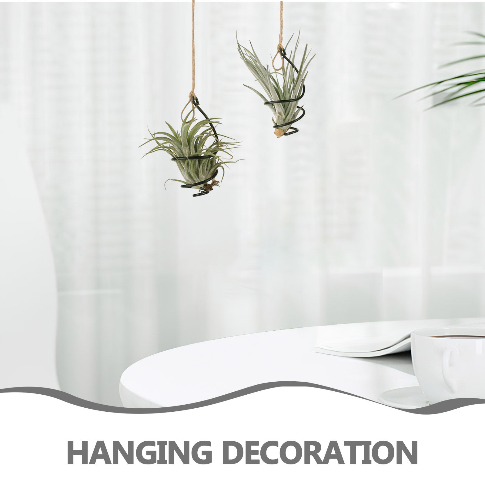 12 supports pour plantes aérie - Air Plant Tillandsia avis et prix